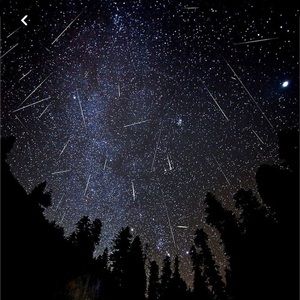 Meet your Posher, Mia